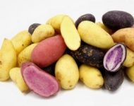 Organic Rainbow Fingerling Potatoes